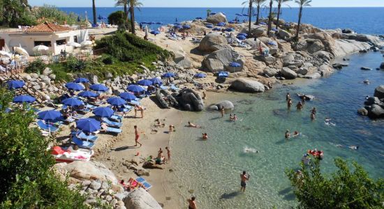 Beach Le Palme