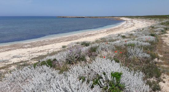 Spiaggia di Is Caogheddas