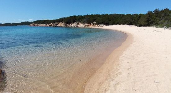 Playa de Piccola Lisciaruja