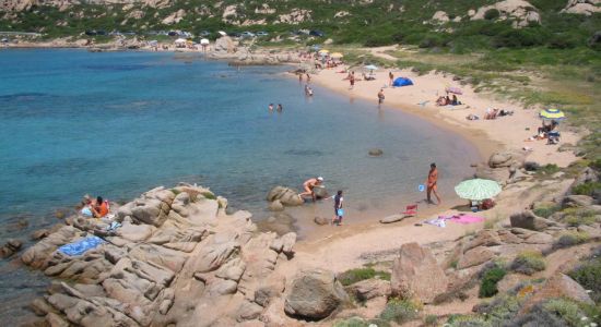Cardellino Beach