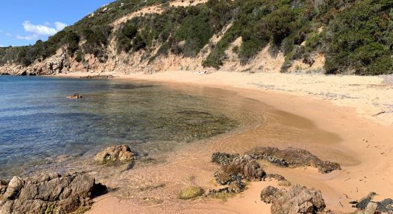 Spiaggia del Costone