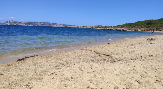 Punta Nera Beach