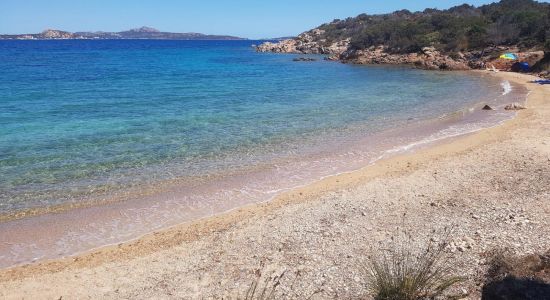Corbezzoli Beach