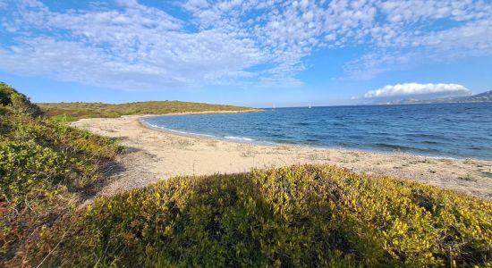 Vecchia Dogana Beach