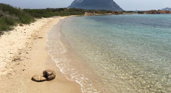 Isola dei Cavalli Beach