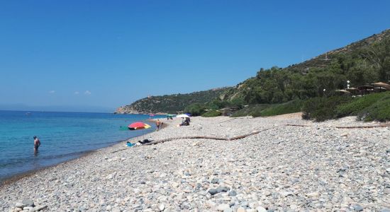Is Canaleddus Beach