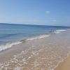 Foxi e Sali Beach