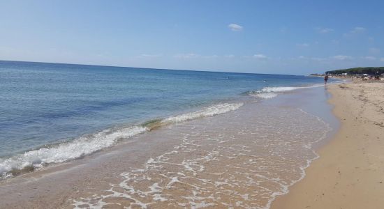Foxi e Sali Beach