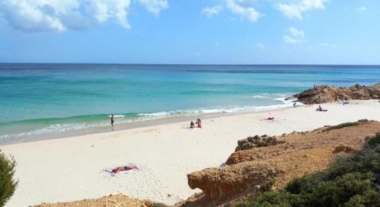 Pinus Village Beach