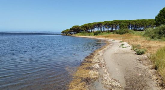 Corongiuali Beach