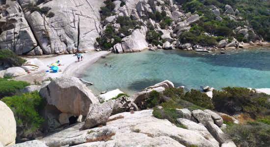 Cala Caprarese Beach