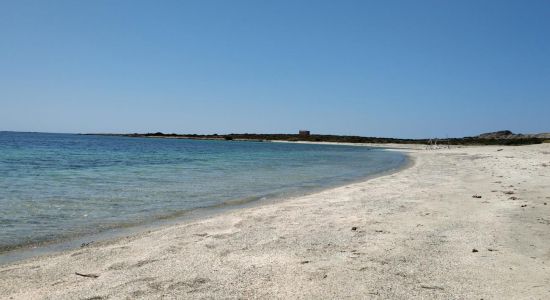 Spalmatore Beach in Asinara
