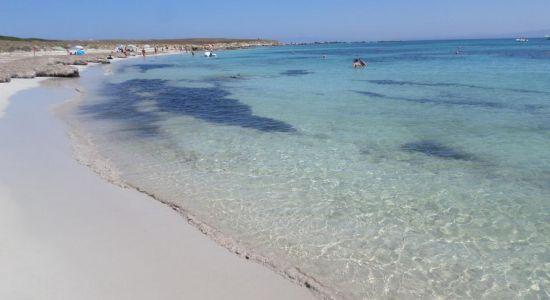 Saline Cove