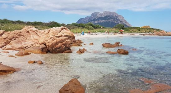 Dell'Isola Piana Beach