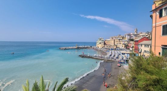 Bogliasco Beach