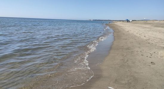 Ospedale Bambin Gesu Beach