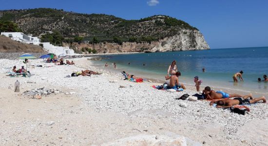 Tor di Lupo Beach