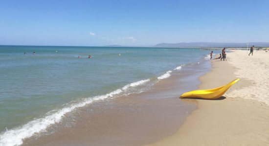 Dell'Acquarotta Beach