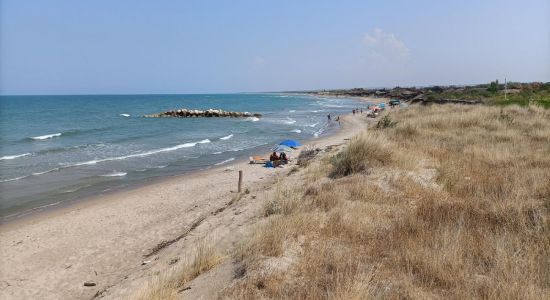 Vallona Beach