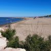 Isola Albarella Beach