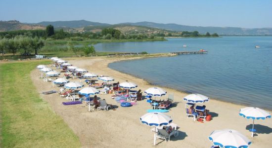 Badiaccia Beach