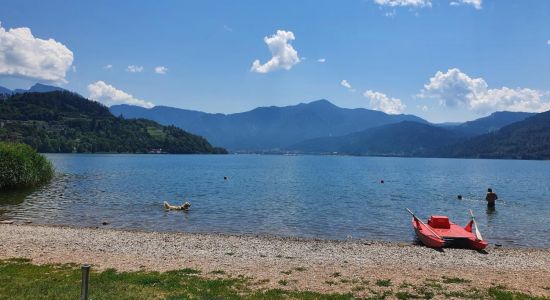 Dog Beach San Cristoforo