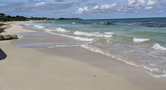 Long Bay Beach