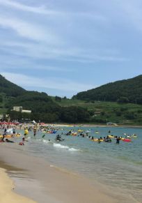 Provincia de Gyeongsang del Sur
