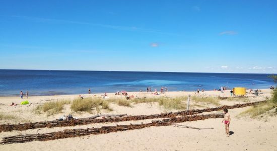 Gauja beach