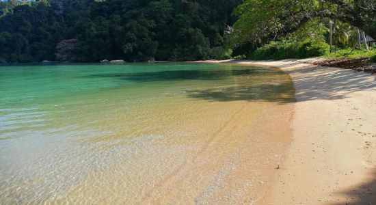 Monkey Bay