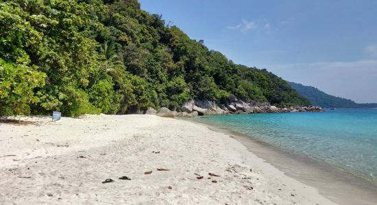Playa Turtle