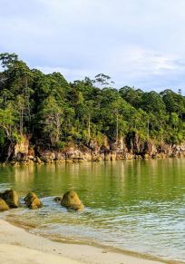 Isla de Kalimantan