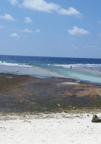 Isla Funaadu