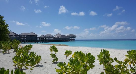 Playa de Six Senses Laamu