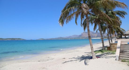 Playa Marina Real