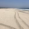 Playa la Roca