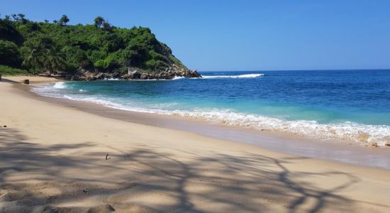 Playa de Coral
