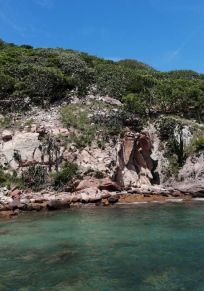 Isla de Pájaros