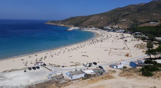 Dalia Beach