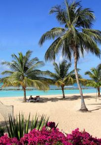 Isla de Barbados