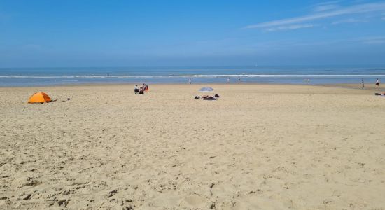 Playa de Wassenaarseslag