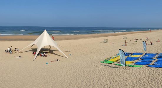 Castricum aan Zee Beach