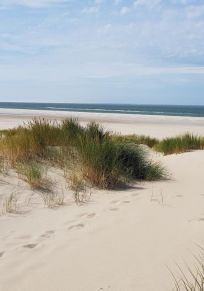 Isla de Texel