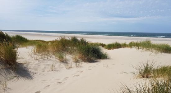 De Hors Beach