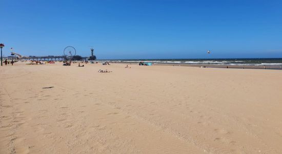 Scheveningen Nudist Beach