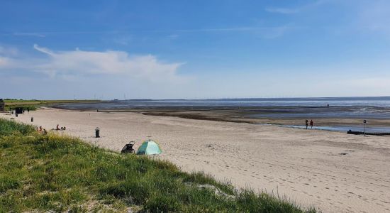 Playa de Harlingen