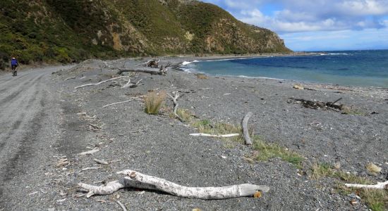 Camp Bay