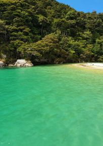 Torrent Bay