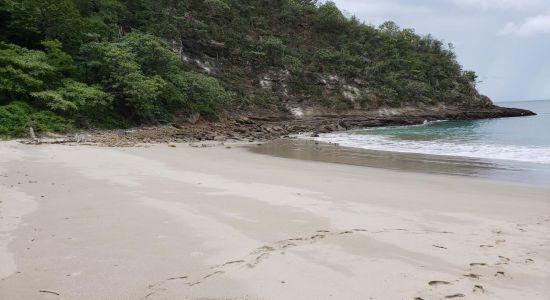 Playa Anima