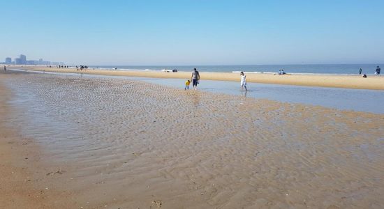 Oostende Beach